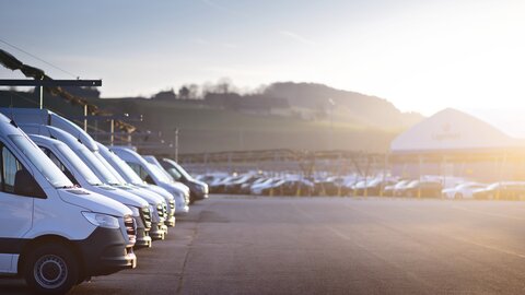 Zolleigenlager bei Lagermax Autotransport in Straßwalchen.