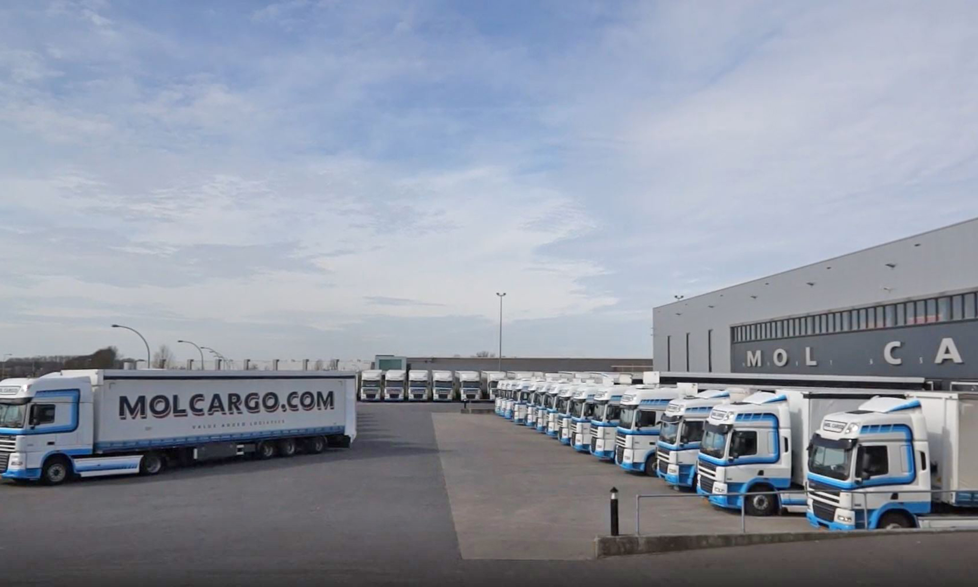 Terminal von Molcargo mit Lkw in Reihe.