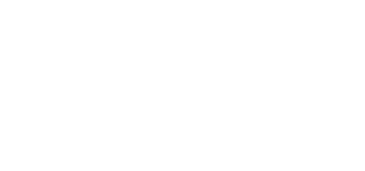 Logo Lagermax Group